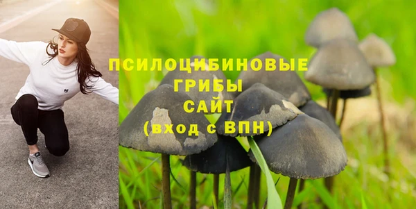 альфа пвп Армянск